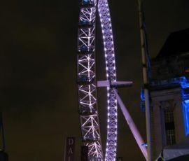 IMG_4073.jpg