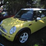 Bessie parks behind the blue cord. She feels so special! Bessie parks behind the blue cord. She feels so special!