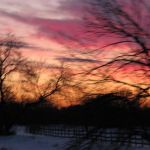 A sunset I caught on the way. A bit blurry, but I kinda like it.