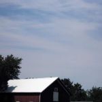 All my photos turn out to be of the sky, power lines and tree canopies. All my photos turn out to be of the sky, power lines and tree canopies.