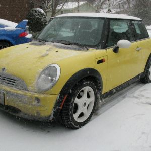 Bessie made it home successfully, despite the snow.