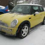 Bessie made it home successfully, despite the snow.