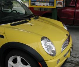 Bessie at Sonic. Bessie at Sonic.