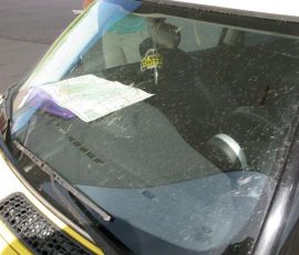 Our first order of business for the day - cleaning off 150 miles worth of bugs.