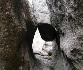 IMG_4964