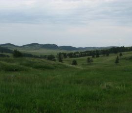 Out there, some where are thousands of animals! Out there, some where are thousands of animals!