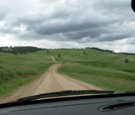 The winding dirt roads to more animals. The winding dirt roads to more animals.