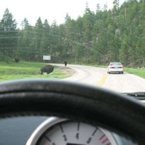 Drive slowly, you never know who you're going to be sharing the road with.