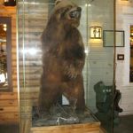 Big ol' Bear