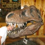 Jenni being eaten by a T-Rex
