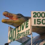 Giant Reptiles! Giant Reptiles!