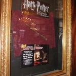 Harry Potter's Wand