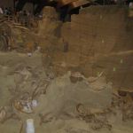 I suggest checking out their website for the interesting story behind the Mammoth Site.
