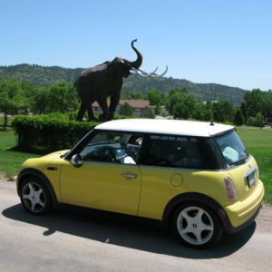 Bessie and a Mammoth.