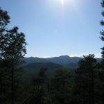 Views from the Peter Norbeck Overlook.