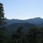 IMG_5479
