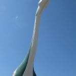 IMG_5516