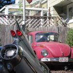 An excitable dog tries to scare us away with barking and threats of driving the Beetle.