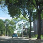 MINIs on campus at University of Wisconsin-Milwaukee