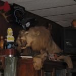 Don\'t let the Lion put you off.