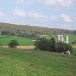 IMG_5882
