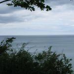 IMG_5940