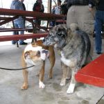 New friends. Really.