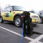 Tosh and Bessie Tosh and Bessie