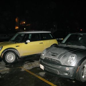 Bessie and her fellow MINI, Radcliffe.