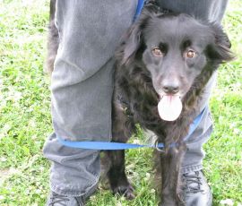 That Tosh! That Tosh!