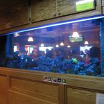 Fish Tank!