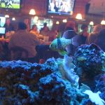 IMG_8296