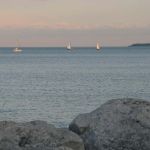 IMG_8481