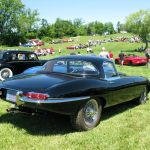 IMG_9245