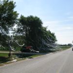 Looks like the locals had a homecoming game lately. Looks like the locals had a homecoming game lately.