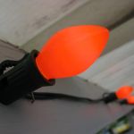 IMG_9348