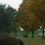 Halloween wouldn't be the same without a graveyard.